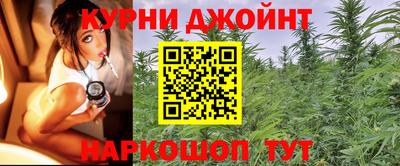 молекула духа Новокубанск