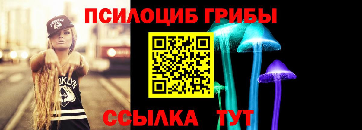 Псилоцибиновые грибы прущие грибы Сургут
